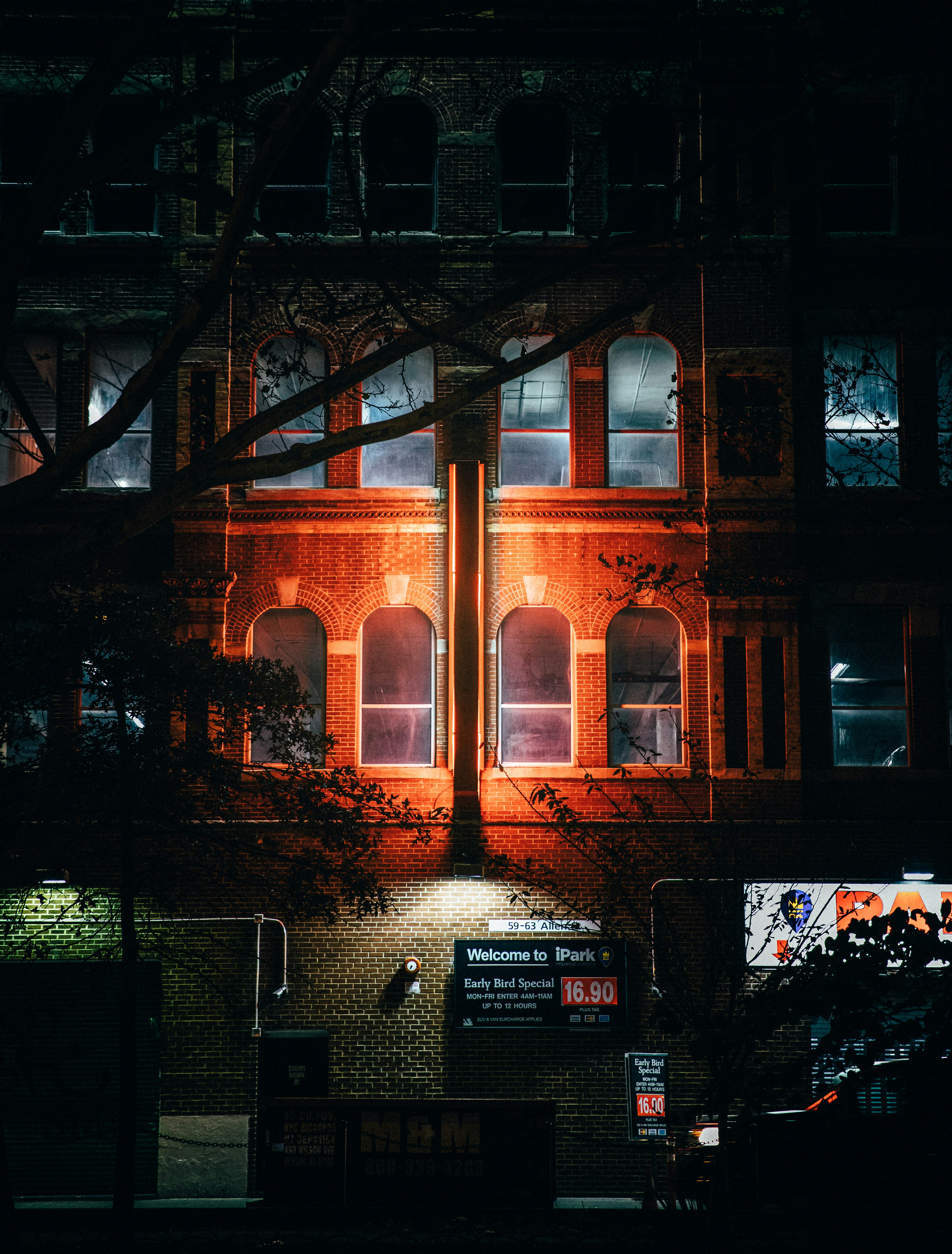 high-rise building near trees with light bulbs